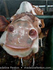 Cow02