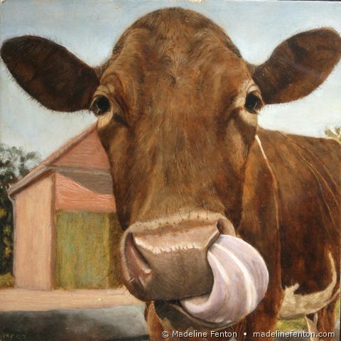 Cow Tongue Nose