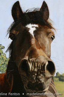 Horses